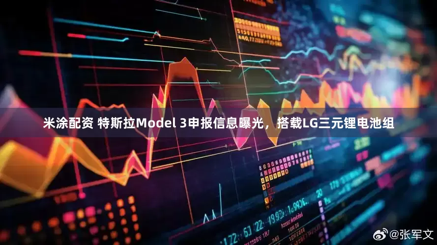 米涂配资 特斯拉Model 3申报信息曝光，搭载LG三元锂电池组