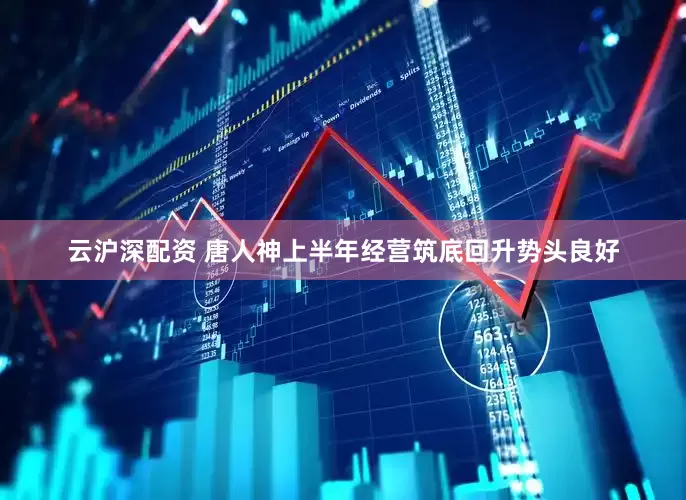 云沪深配资 唐人神上半年经营筑底回升势头良好