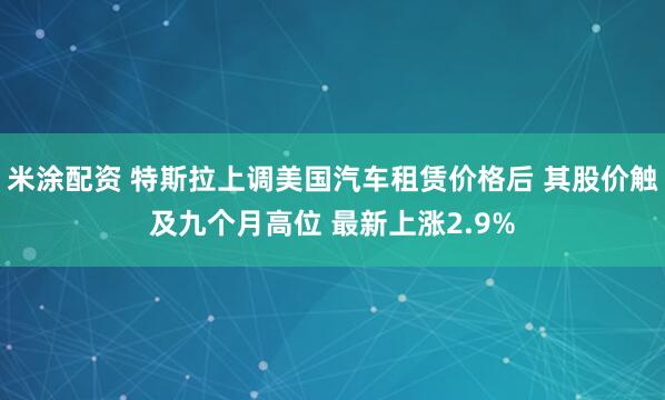 米涂配资 特斯拉上调美国汽车租赁价格后 其股价触及九个月高位 最新上涨2.9%