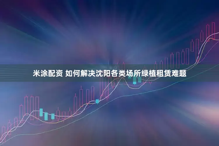 米涂配资 如何解决沈阳各类场所绿植租赁难题